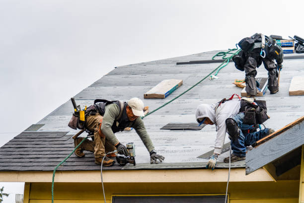 Professional Roofing technician working in New Market, IA